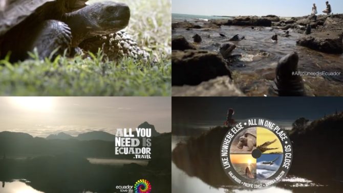 #AllYouNeedIsEcuador: Everything You Need Know About