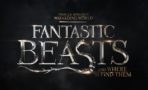 Fantastic Beast and Where To Find