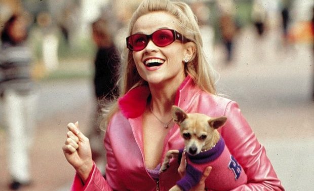 'Legally Blonde' Chihuahua Dies, Reese Witherspoon